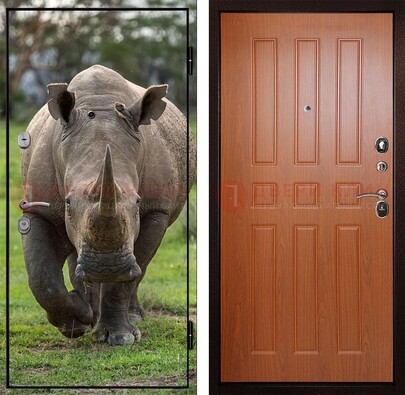 Металлическая дверь с фотопечатью носорога ДФ-31